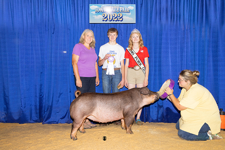 Reserve Champion Duroc Gilt Iowa State Fair Ffa Show Olsen